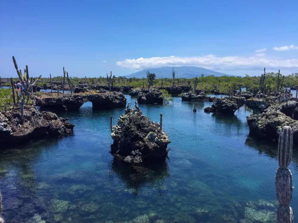 Fuga liberdade nas Galápagos 8 dias