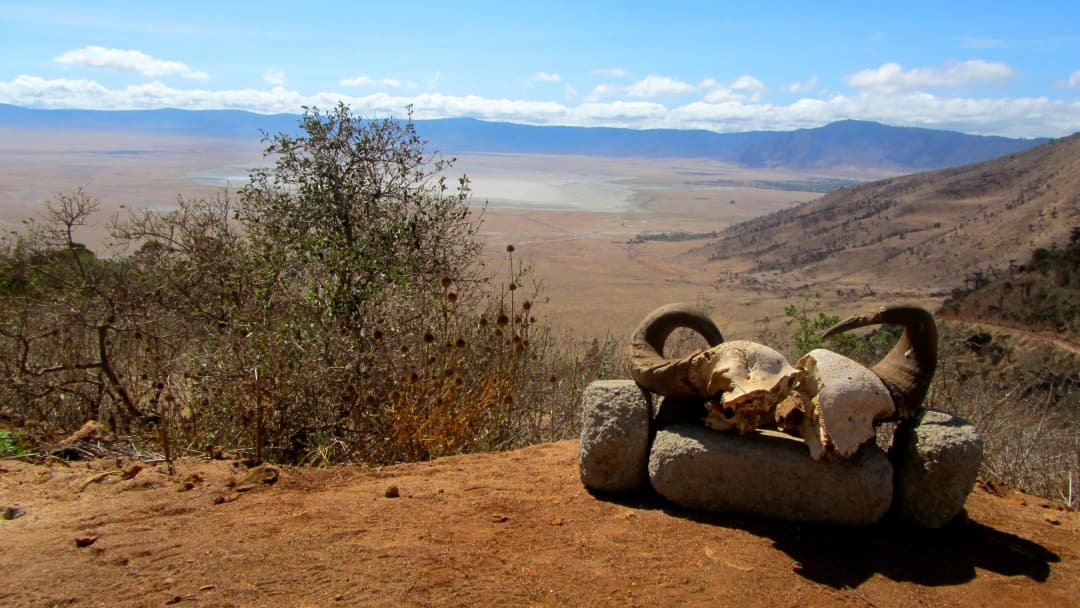 Área de Conservação do Ngorongoro