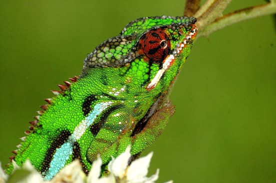 O Norte de Madagascar