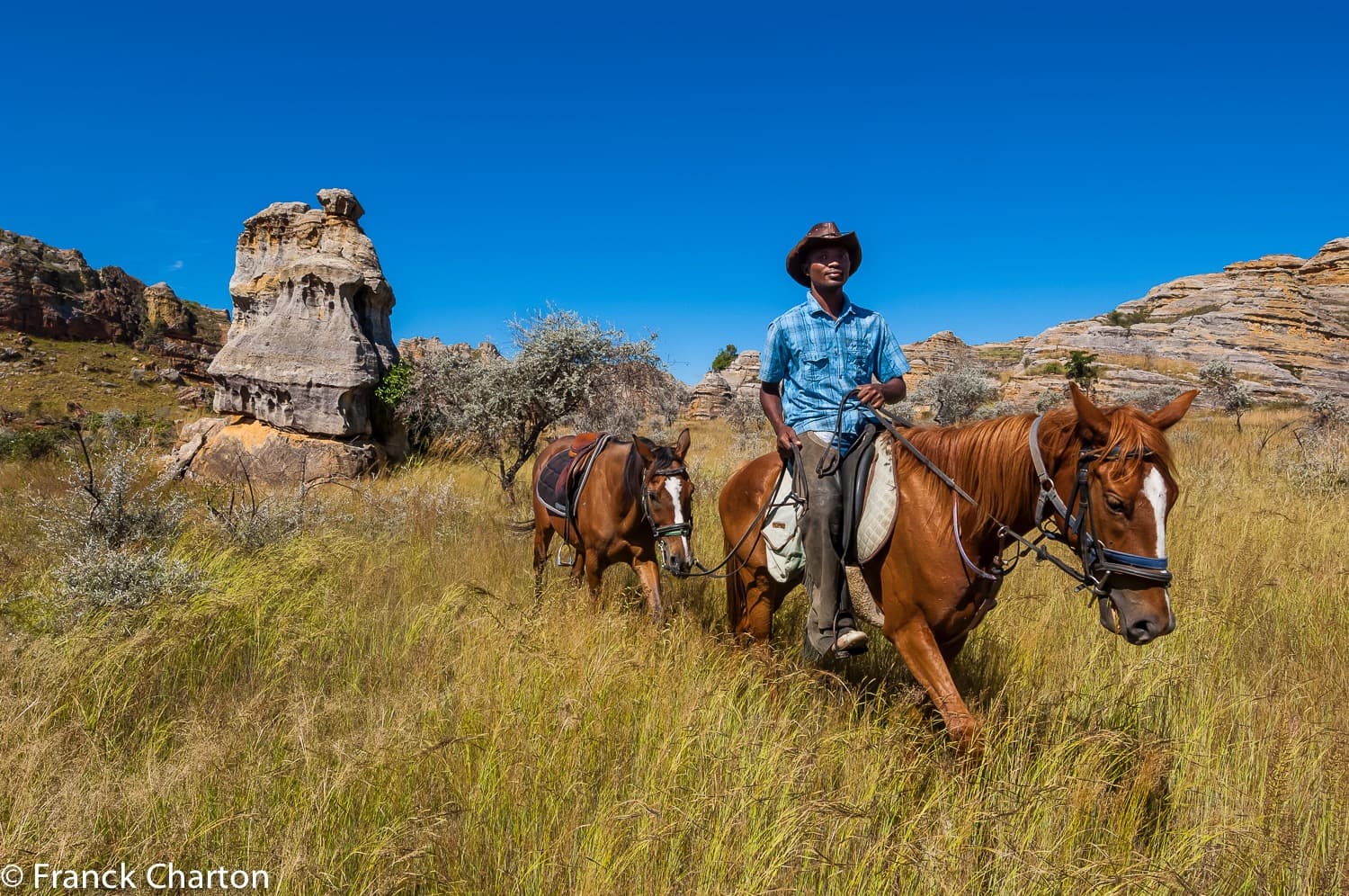 Passeios a Cavalo em Madagascar